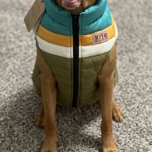 Colorful Striped Dog Vest
